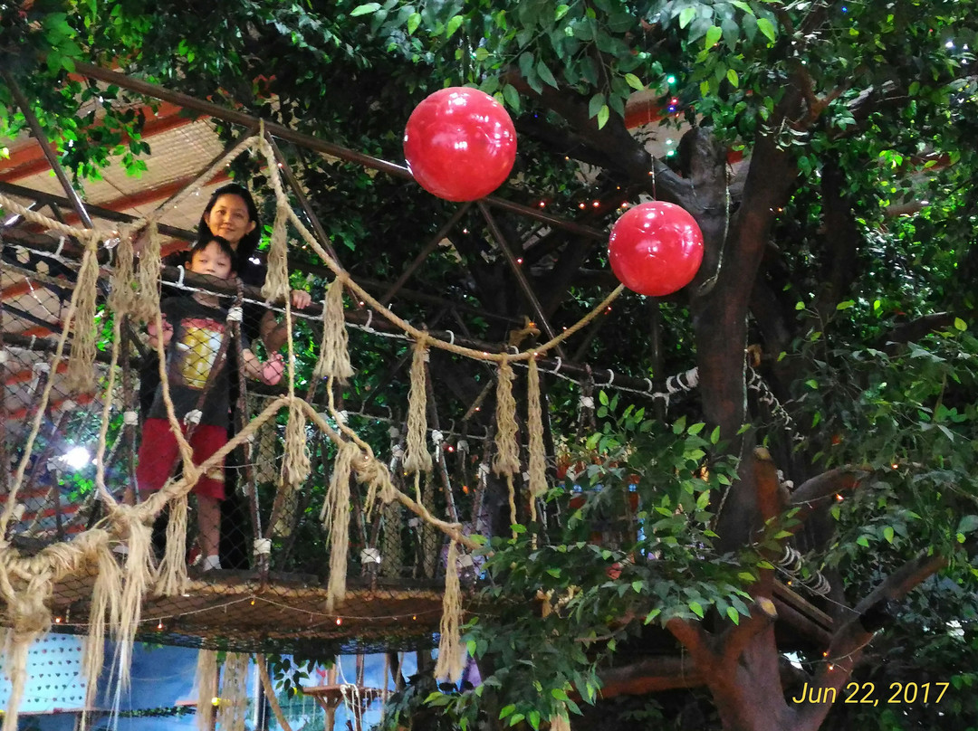 塞尔彭旅游景点-Little Jungle Playground
