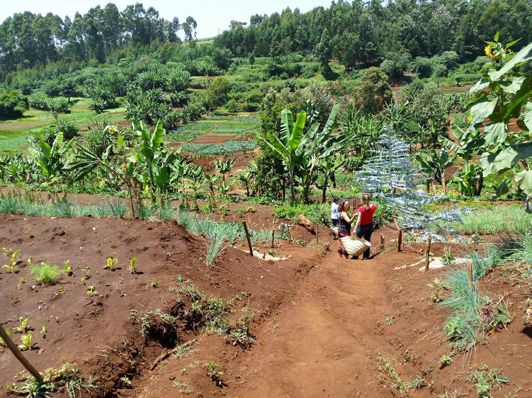 Mlango Farm-黎木鲁必去景点
