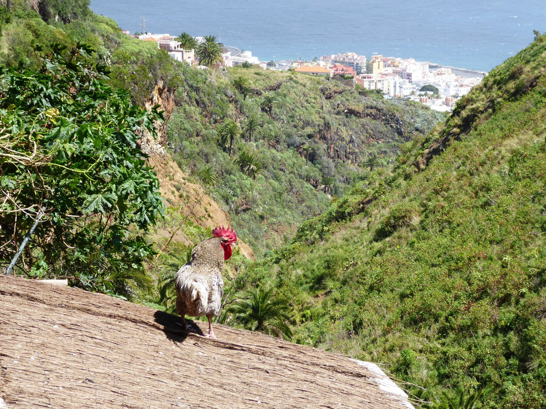 Brena Alta旅游攻略图片