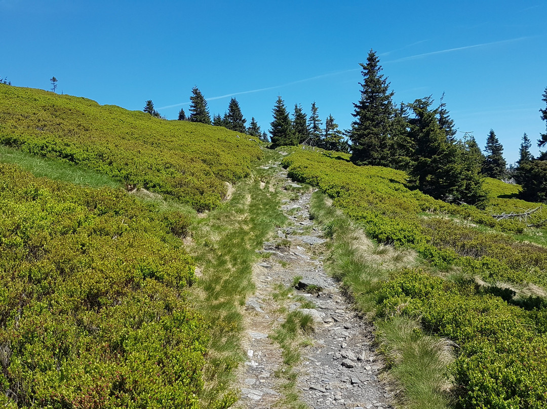 The nature trail of Velká kotlina景点图片
