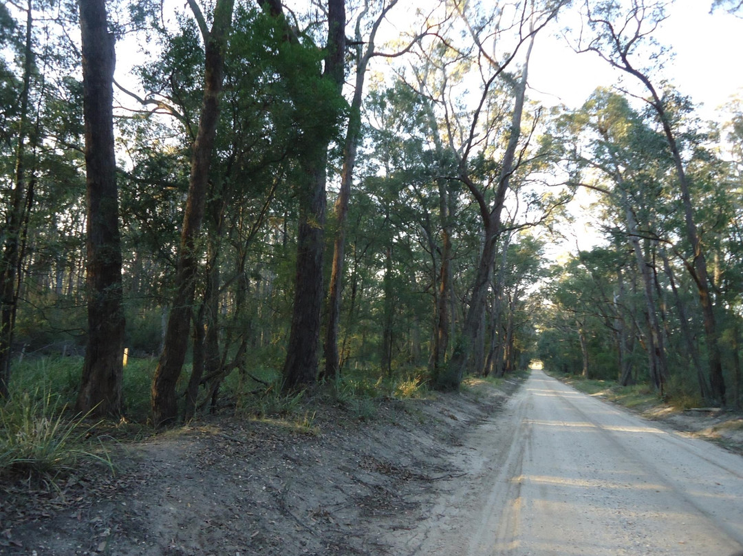 Holey plains state park-Rosedale必去景点