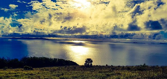 Bluff Point Walking Track景点图片