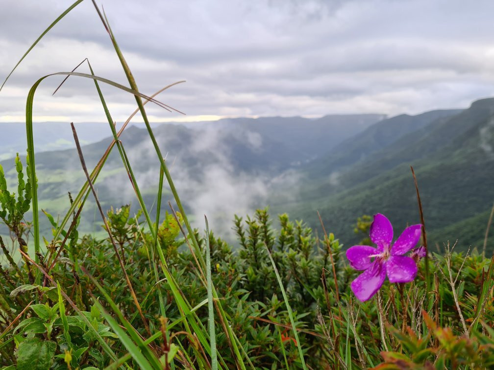 Morro dos Cabritos-Praia Grande必去景点
