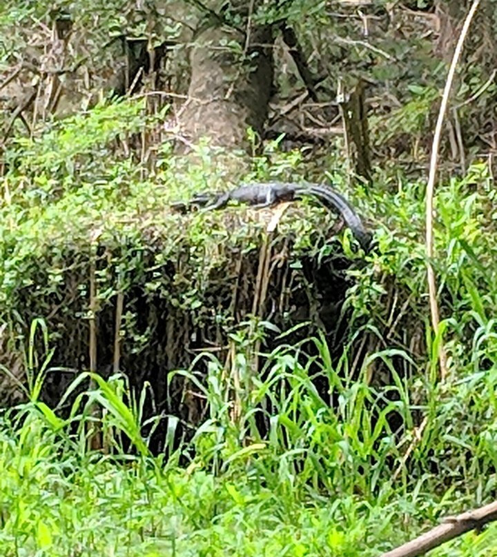 Black Bear Wilderness Area-桑福德必去景点