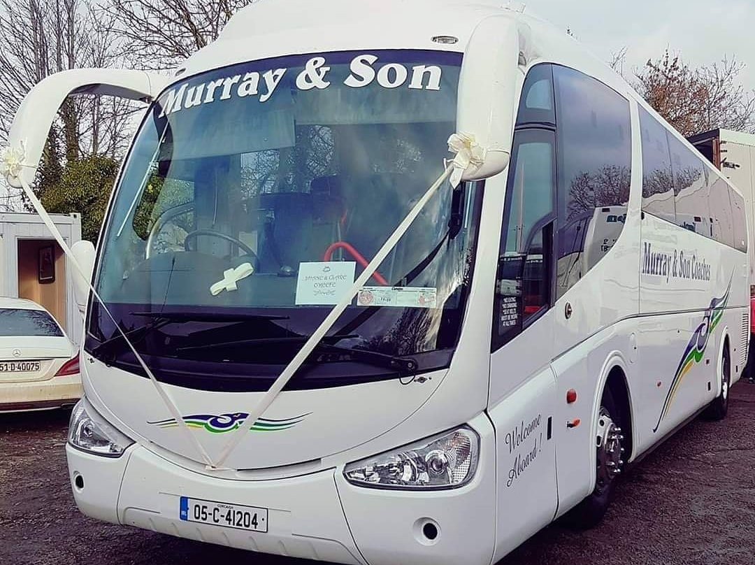 Murray & Son
