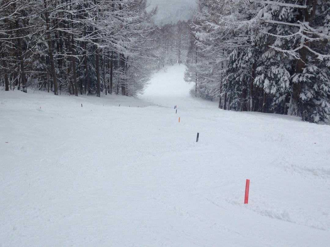 Washigatake Ski Area-郡上市必去景点
