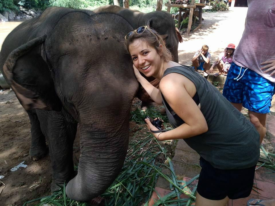 清迈T.U.M骑象之行-清迈必去景点