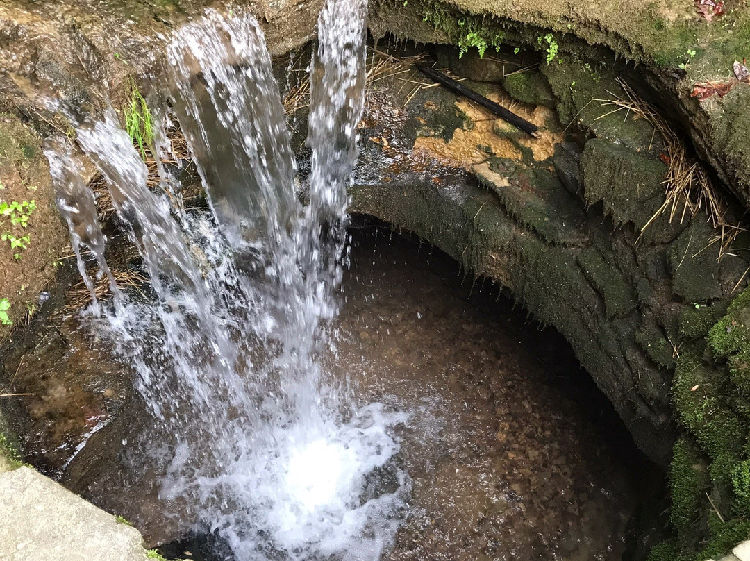 Hodgenville旅游攻略图片