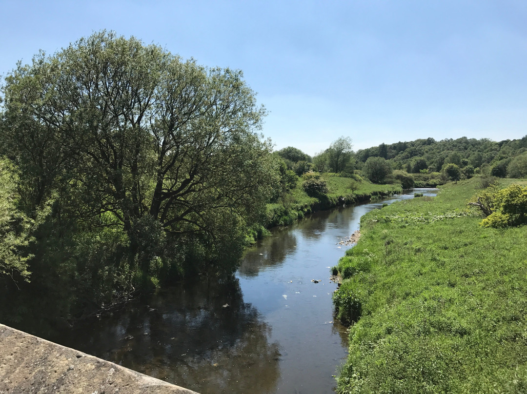 Witton Country Park景点图片