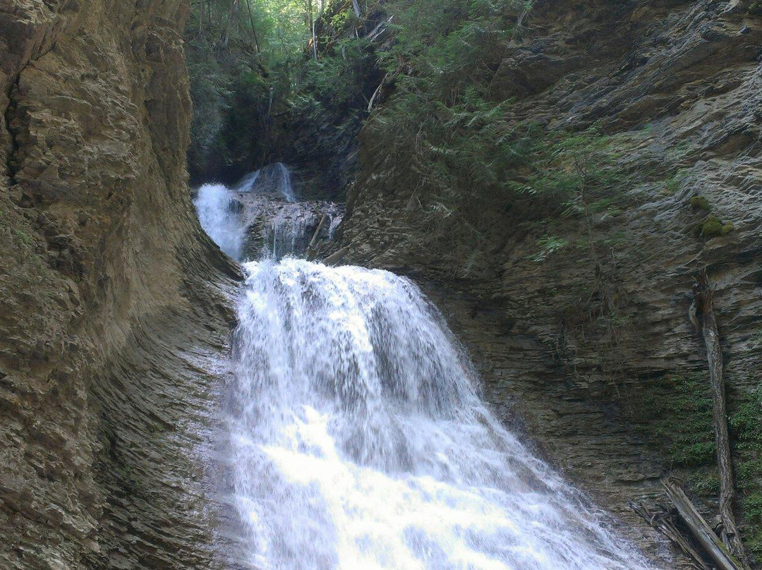 Margaret Falls-Tappen必去景点