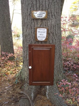 Winnie The Pooh Trail景点图片