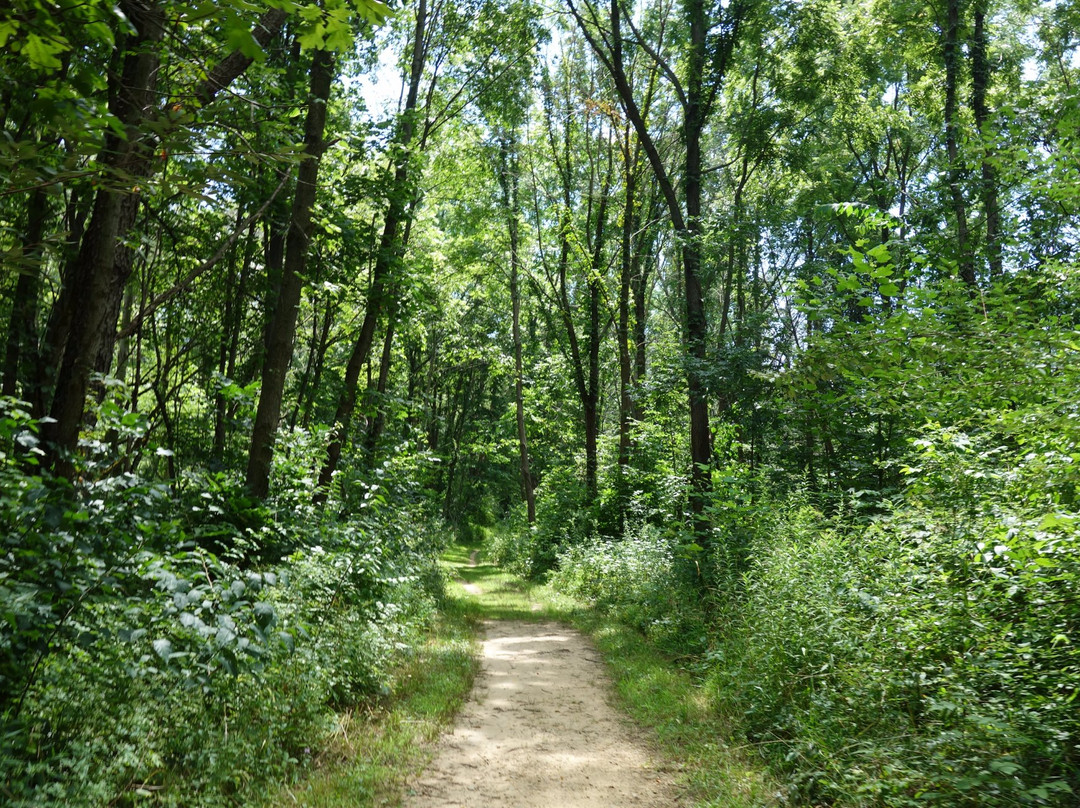 North Liberty旅游攻略图片