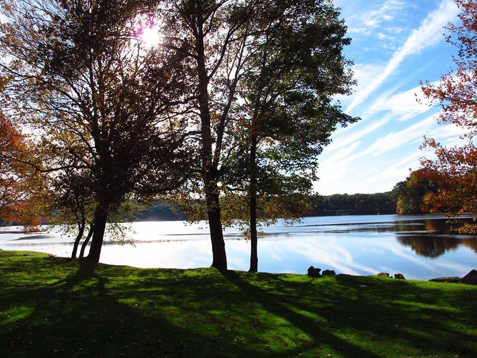 Franklin Lakes Nature Preserve景点图片