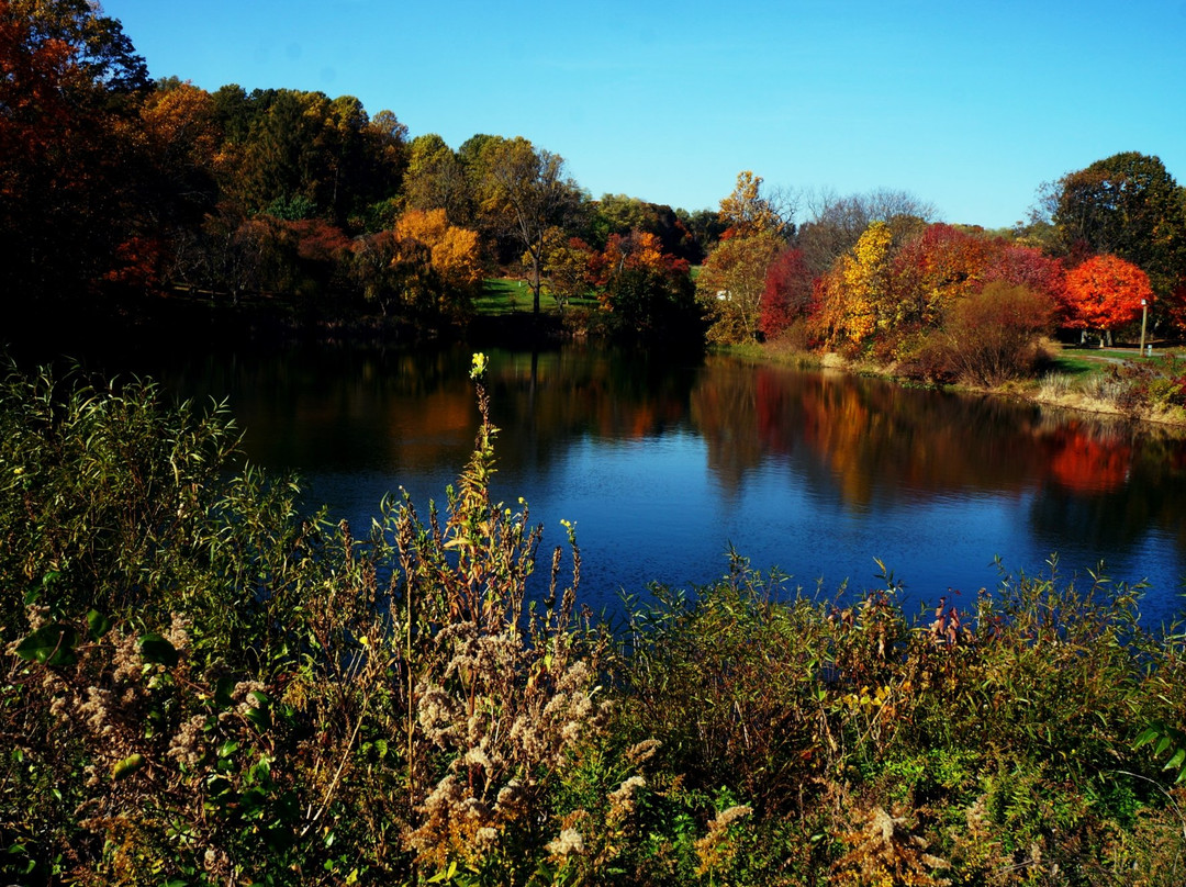 Holmdel Park景点图片