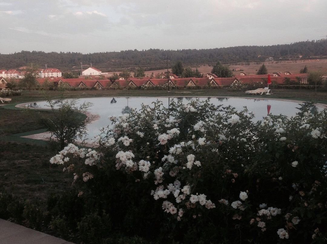 Arz Village