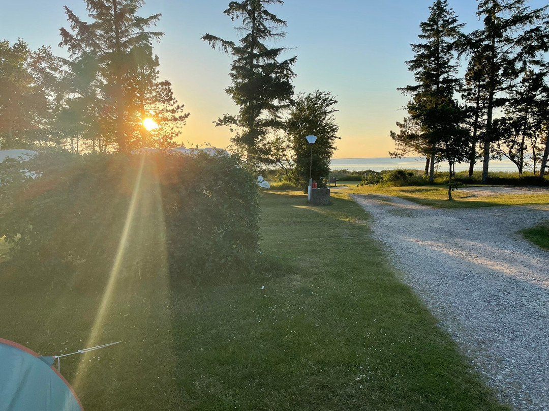 Hvalpsund Familie Camping