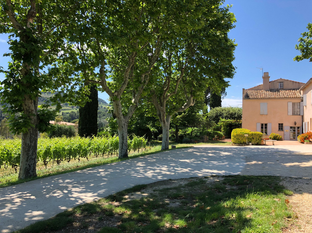 Domaine Tempier景点图片