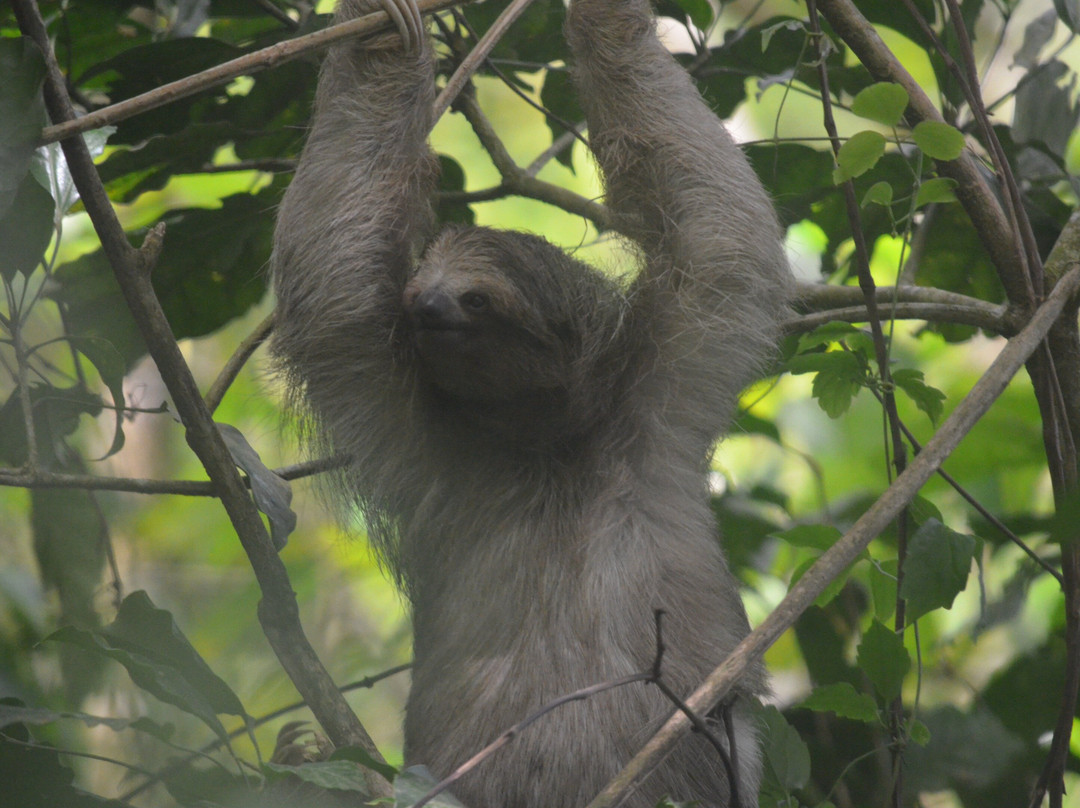 Jungle Life Costa Rica-Bijagua de Upala必去景点