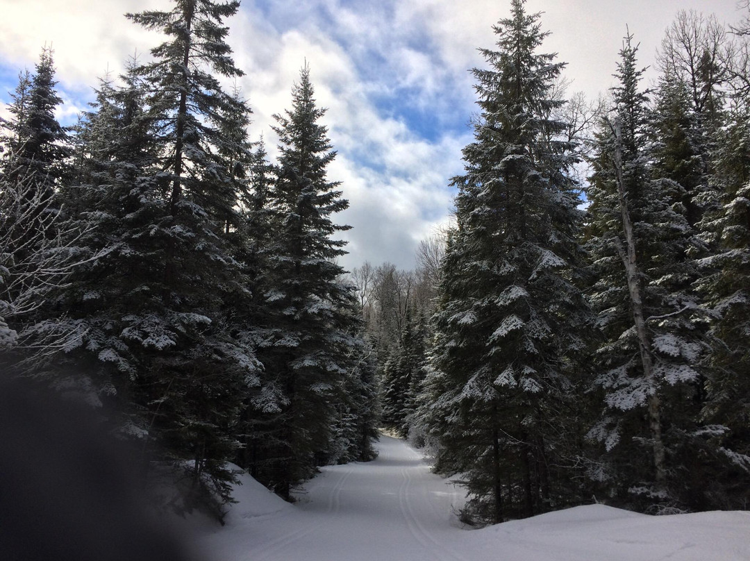 Leaf Lake Ski Trail景点图片