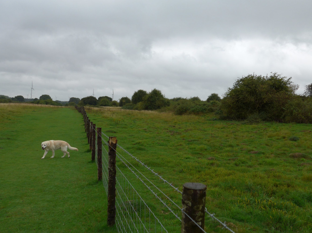 凯特林旅游景点-Twywell Hills and Dales