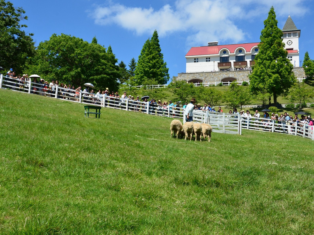 Rokkosan Farm-神户市必去景点