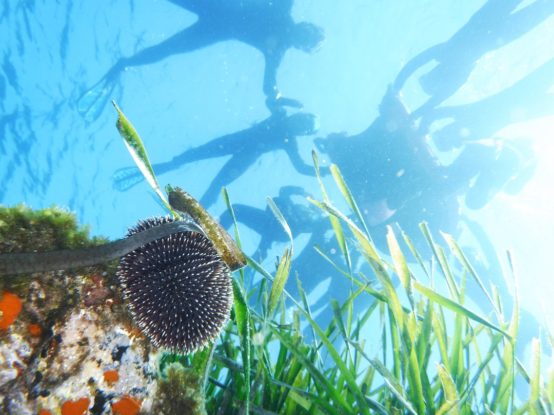 Atelier Bleu CPIE-拉西奥塔必去景点