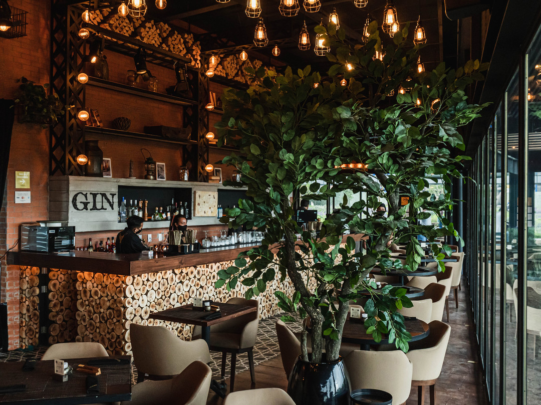 Gin Gin Plaza Satélite