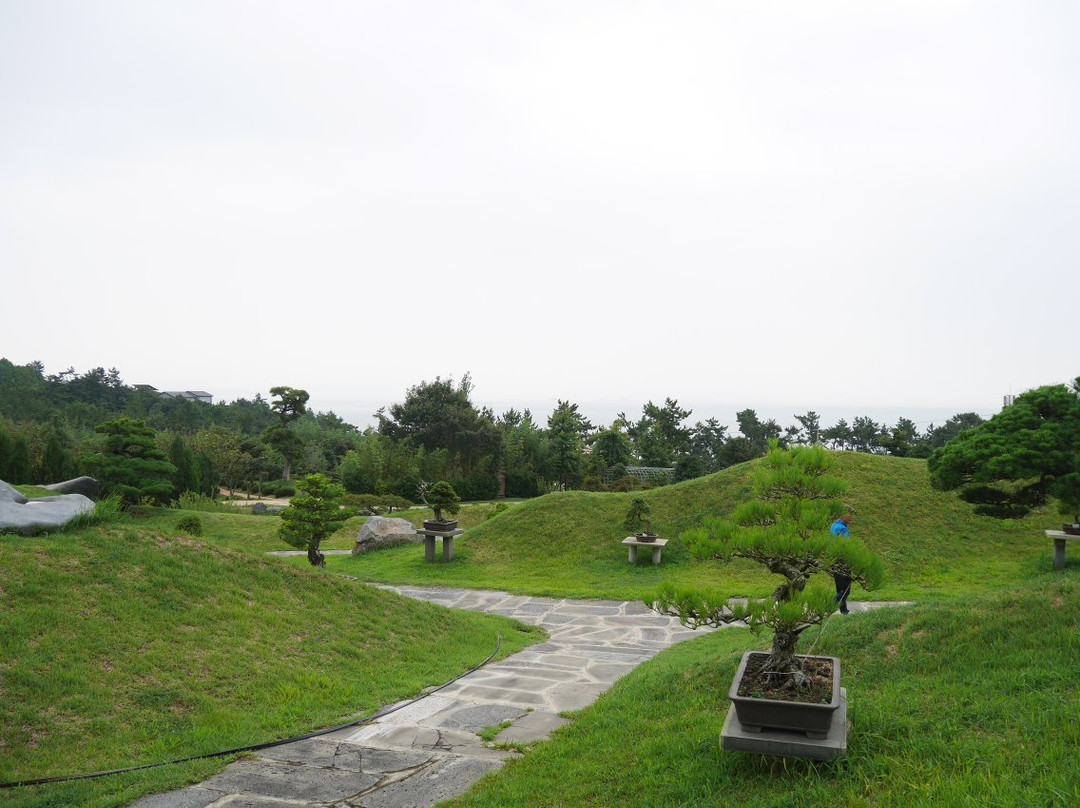 Cheonsaseom Bunjae Park景点图片