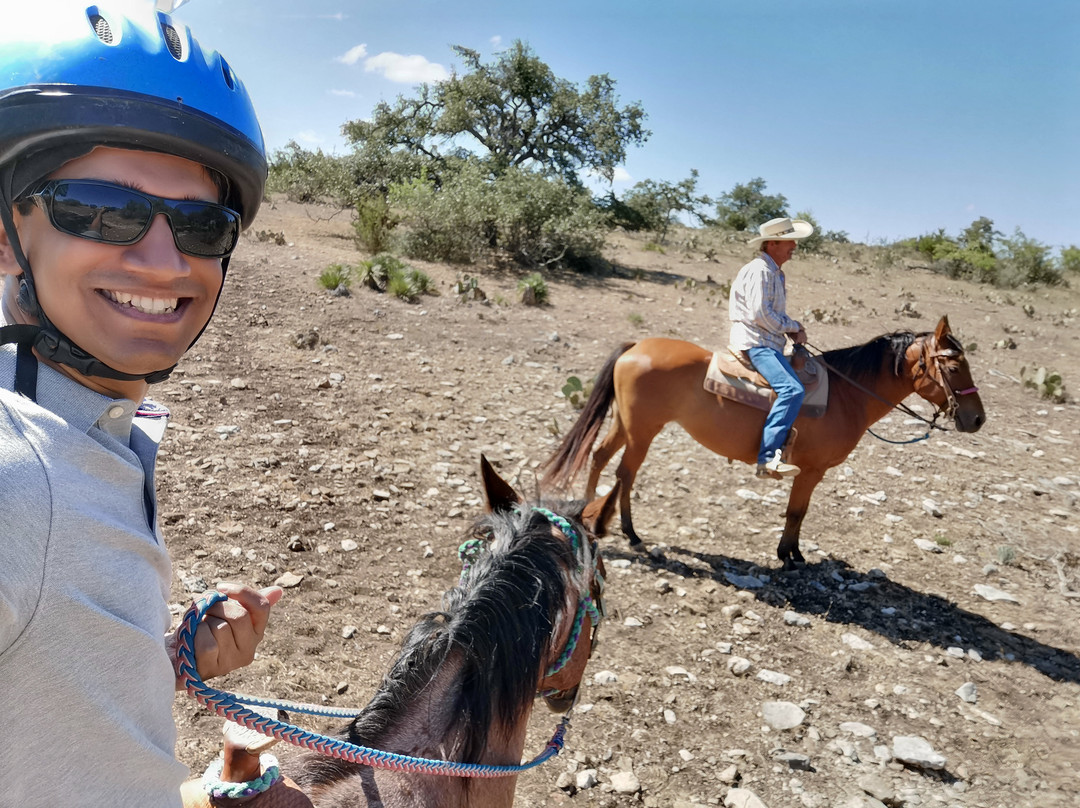 Bit & Bridle Boarding & Training Stables-Harper必去景点