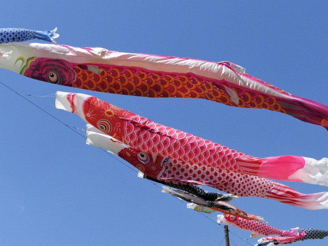 Sagami Odako Festival