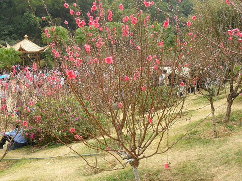 竹仙洞-珠海市必去景点