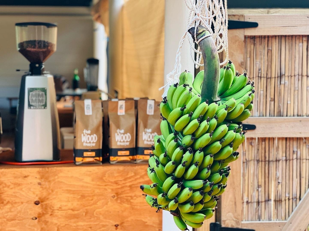 Jim's Lord Howe Island