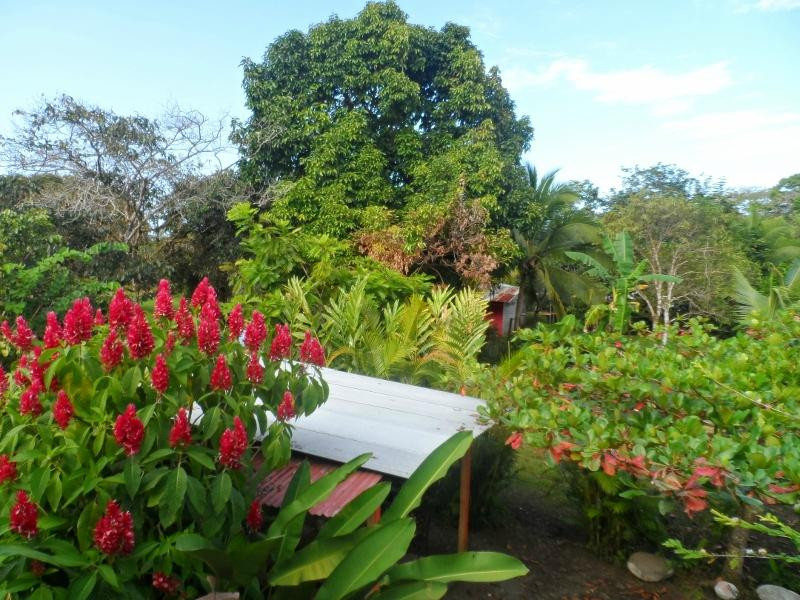 Cabins Heliconia