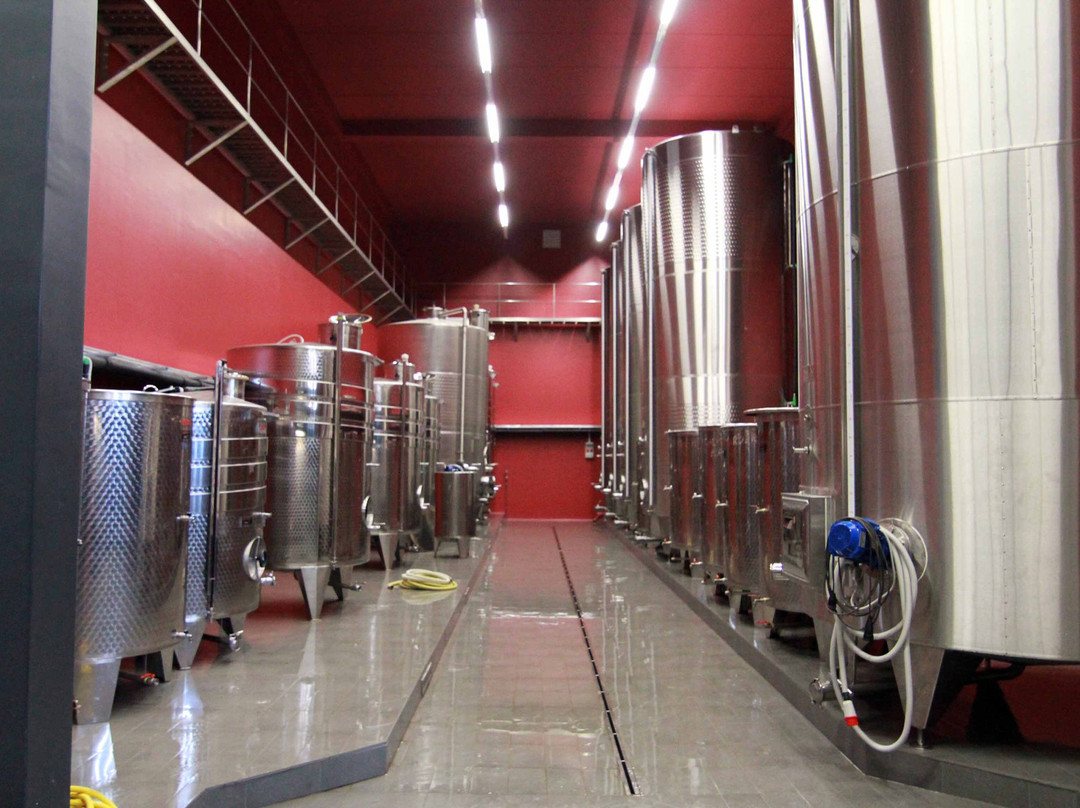 Vinogradi Nuic景点图片
