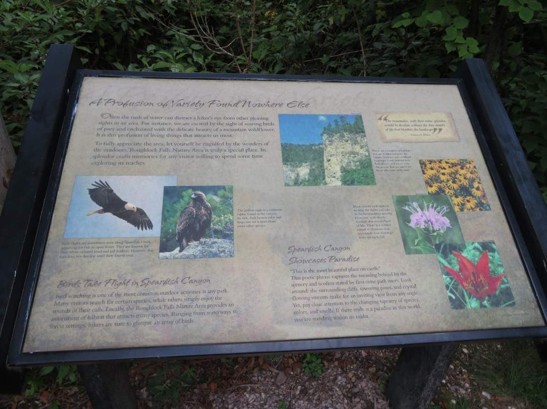 Roughlock Falls State Nature Area-Lead必去景点