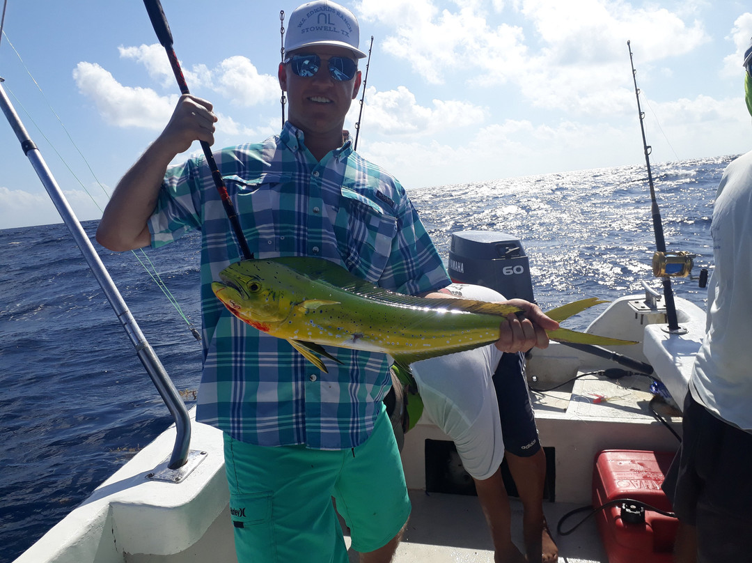 Soliman Bay Tours-图伦必去景点