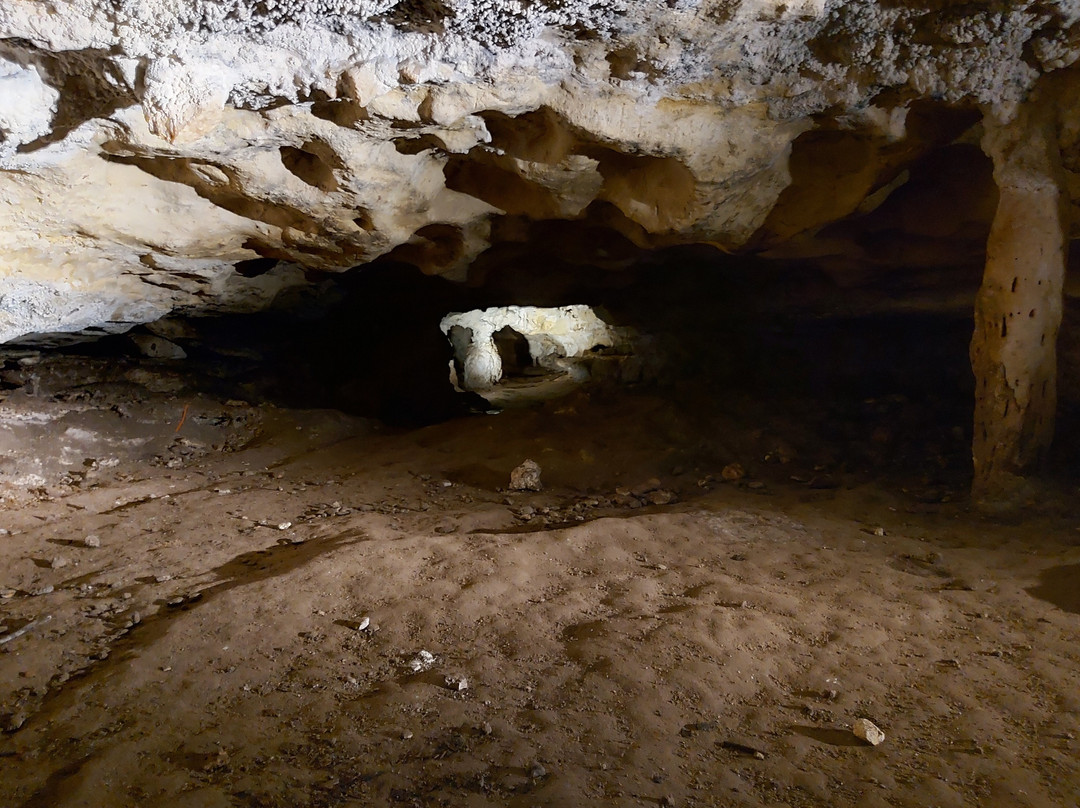 Stick Tomato Cave-Naracoorte必去景点
