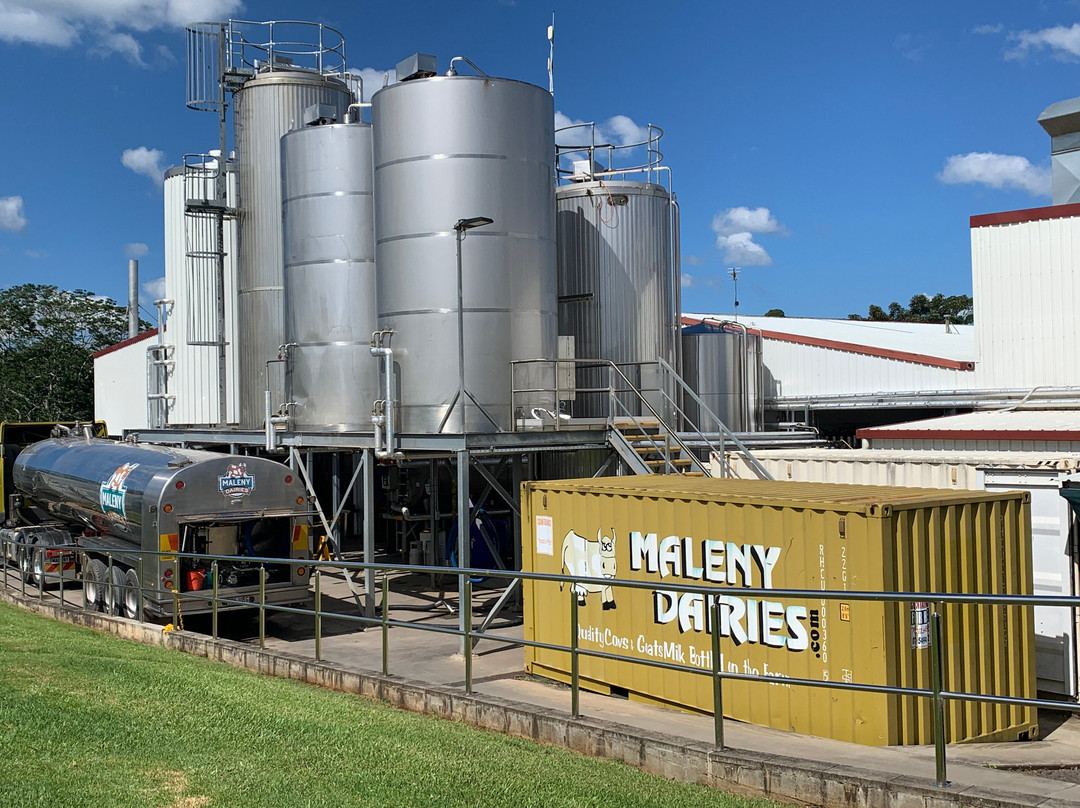 Maleny Dairies景点图片