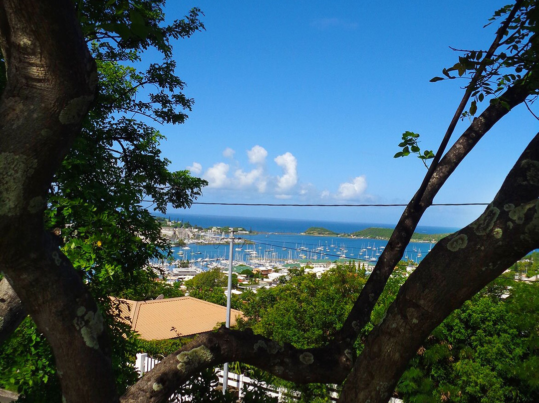 Mont Coffyn-努美阿必去景点