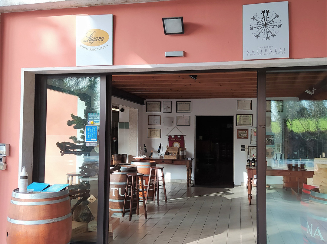 Azienda Agricola Turina景点图片