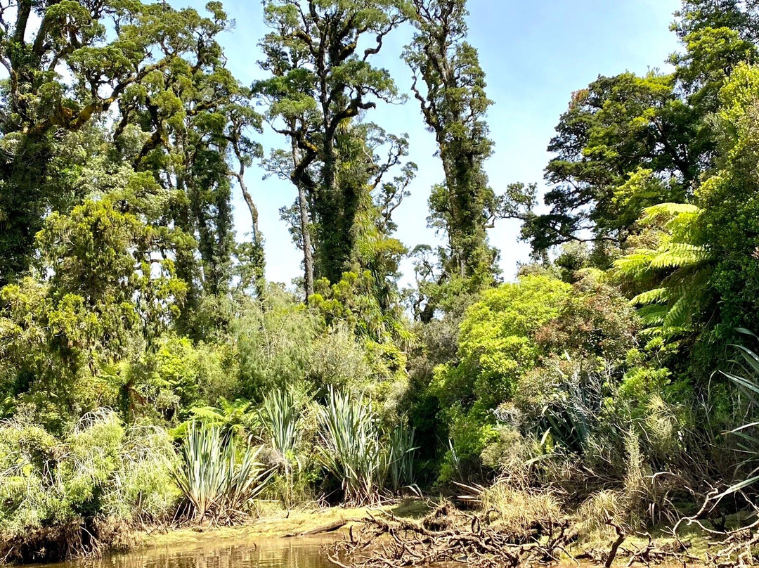 Waiatoto River Safari-Haast必去景点