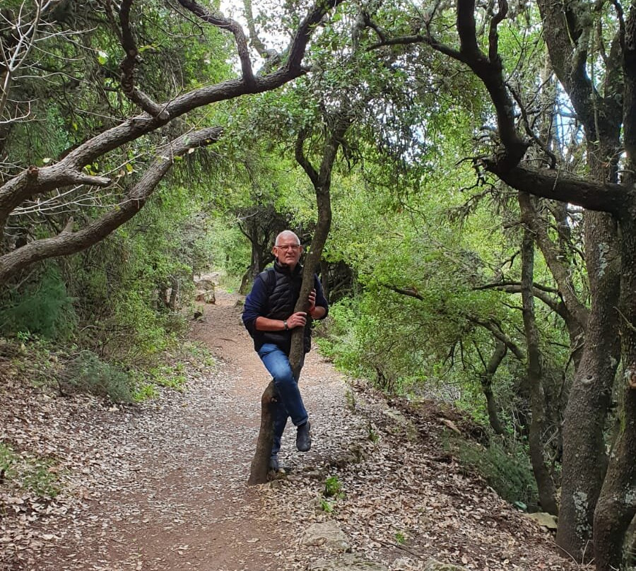 Mount Meron Nature Reserve景点图片