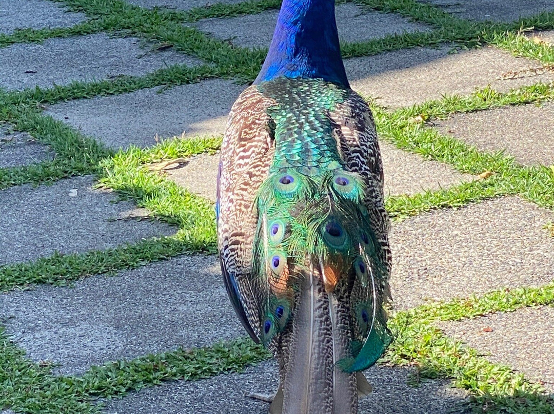 Hotel Fazenda Villa Rial主图