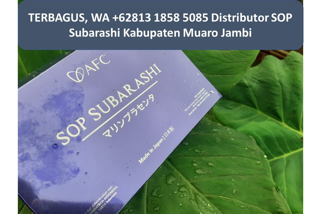 Luminor Hotel Jambi主图