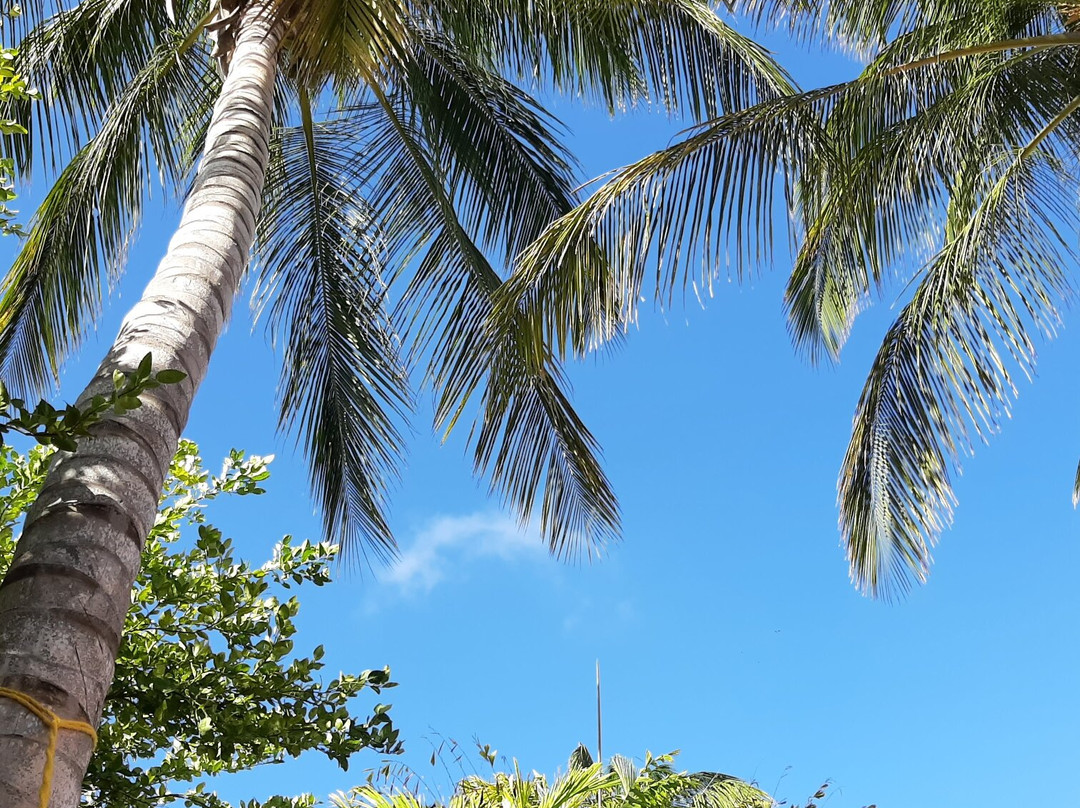 Posada Libert Hotel主图