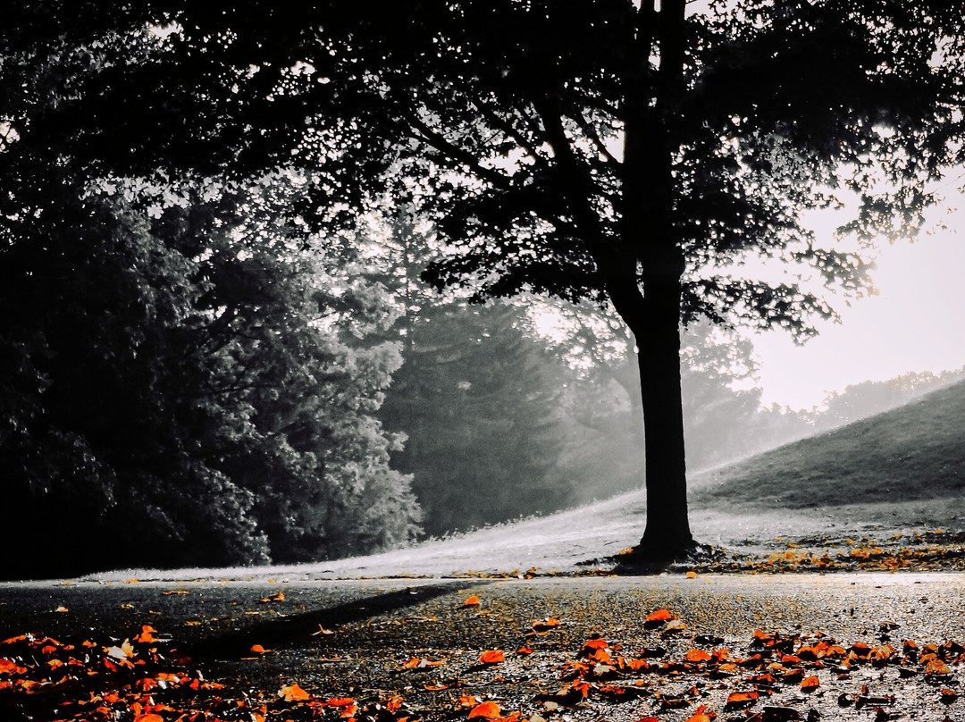 Springbank Park-伦敦必去景点