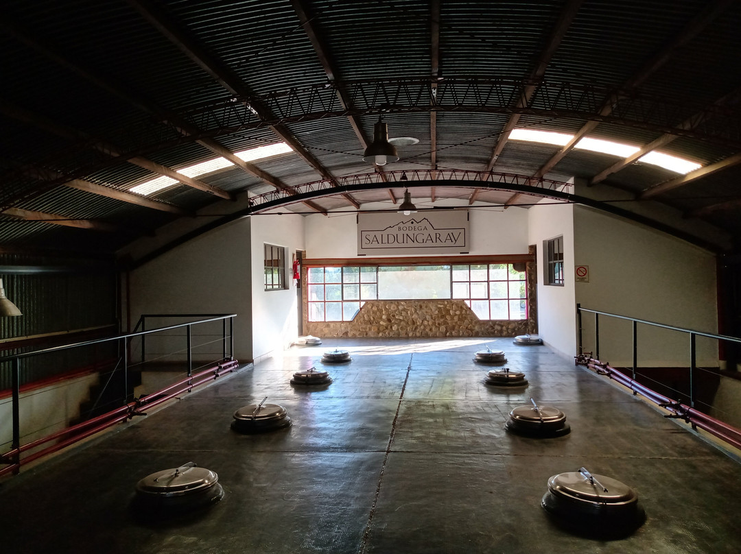 Bodega Saldungaray景点图片