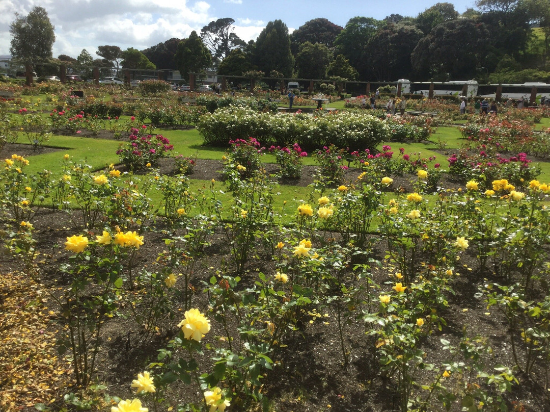 Lady Norwood Rose Garden景点图片