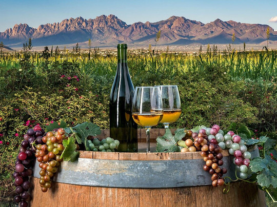 3 Hour Private Wine Tour in Luxury SUV