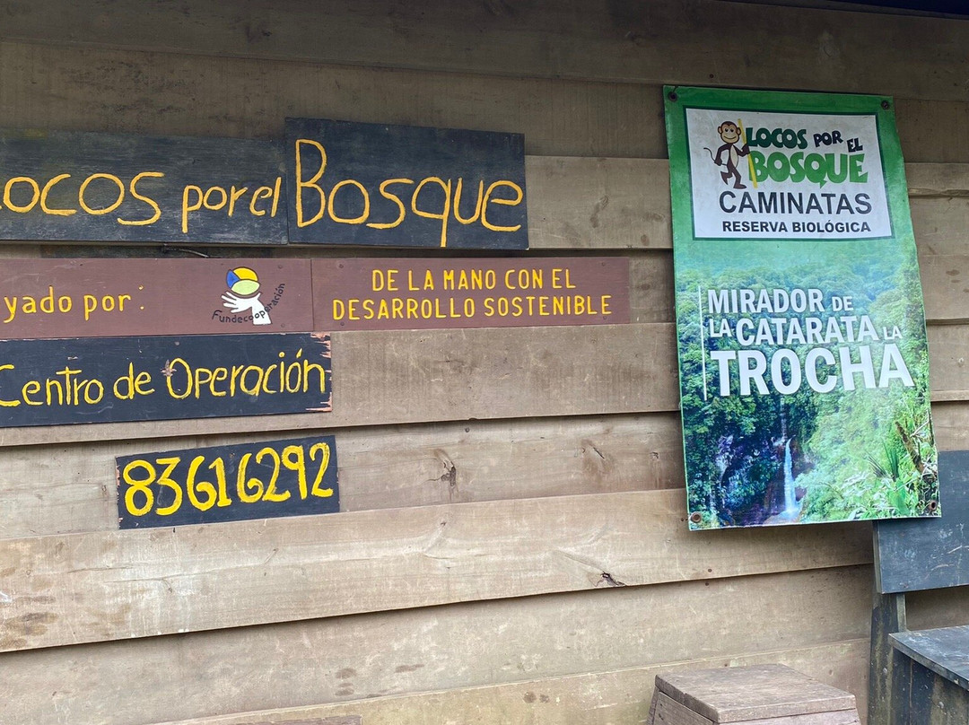 Locos por el Bosque景点图片